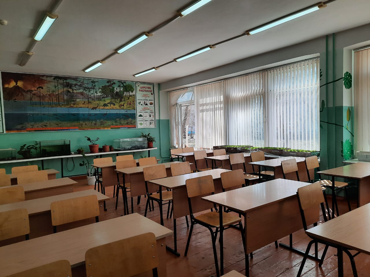 Кабинет биологии Кабинет биологии