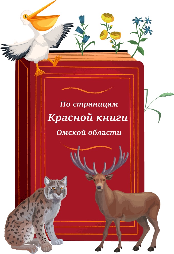 Региональный экологический конкурс «Живая красная книга».