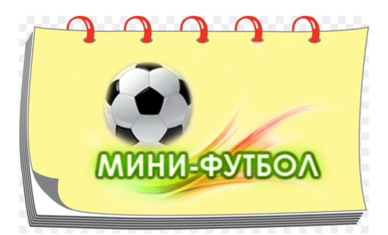 Зональные соревнования Омской области по мини футболу.