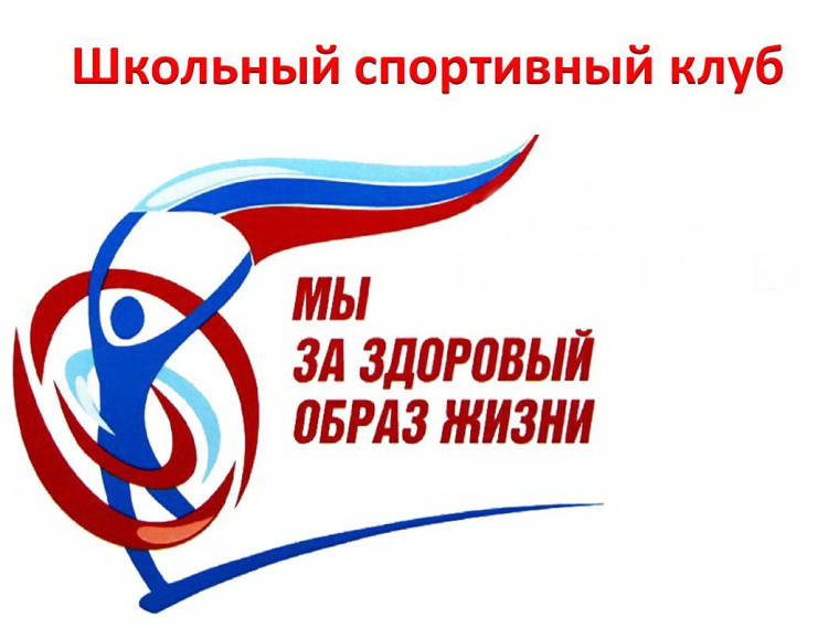 Региональный этап игр школьных спортивных клубов.